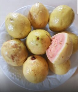 Ripened Guavas, the main ingredient in my Guava cheese. The benefits of cooking as a hobby