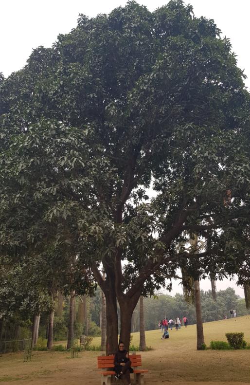 Gulmohar Park - Hauz Khas. India, the most populated country on earth