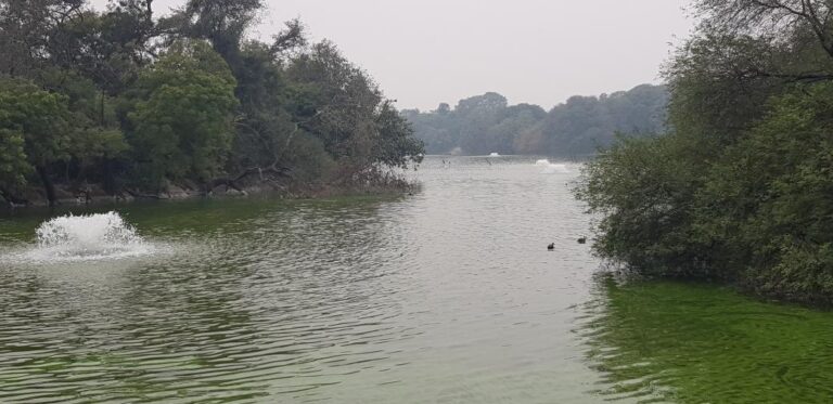 Hauz Khas Lake. India, the most populated country on earth